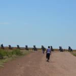 OTRA2014CN_0080 (August 25, 2014)